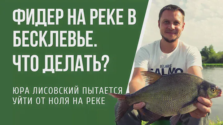 Как ловить фидером на реке, когда нет клева