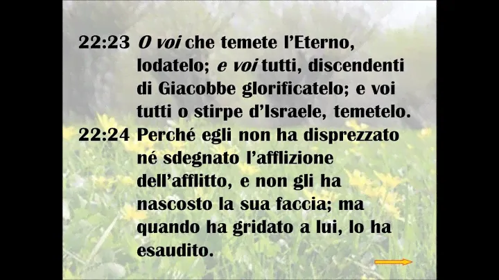 Salmo 22 (Le sofferenze del Messia a cui fa seguito il suo trionfo).