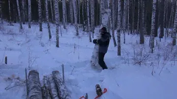 Сани для снегохода Тайга